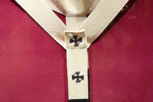 What Is The Pallium?