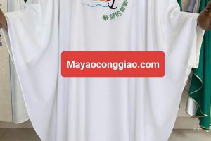 What Is The Peregrinantes In Spem.