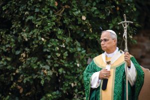 Pope Leo wears Chicago-made vestments to July 9 ‘care of creation’ Mass﻿